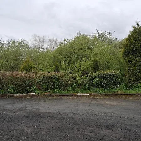 Artist * 레터케니