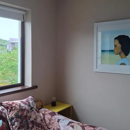 호스텔 Artist *